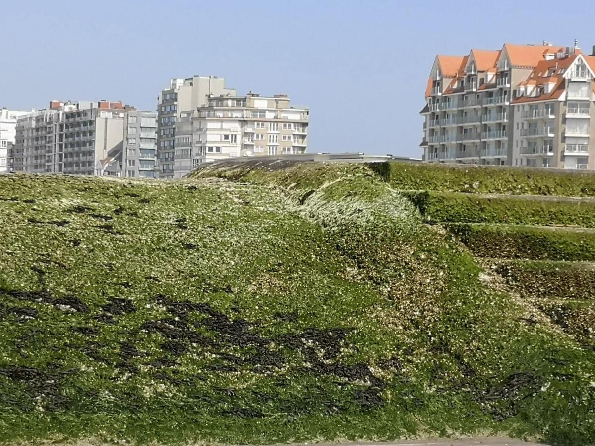 Westeinders Sea View Middelkerke Exterior foto